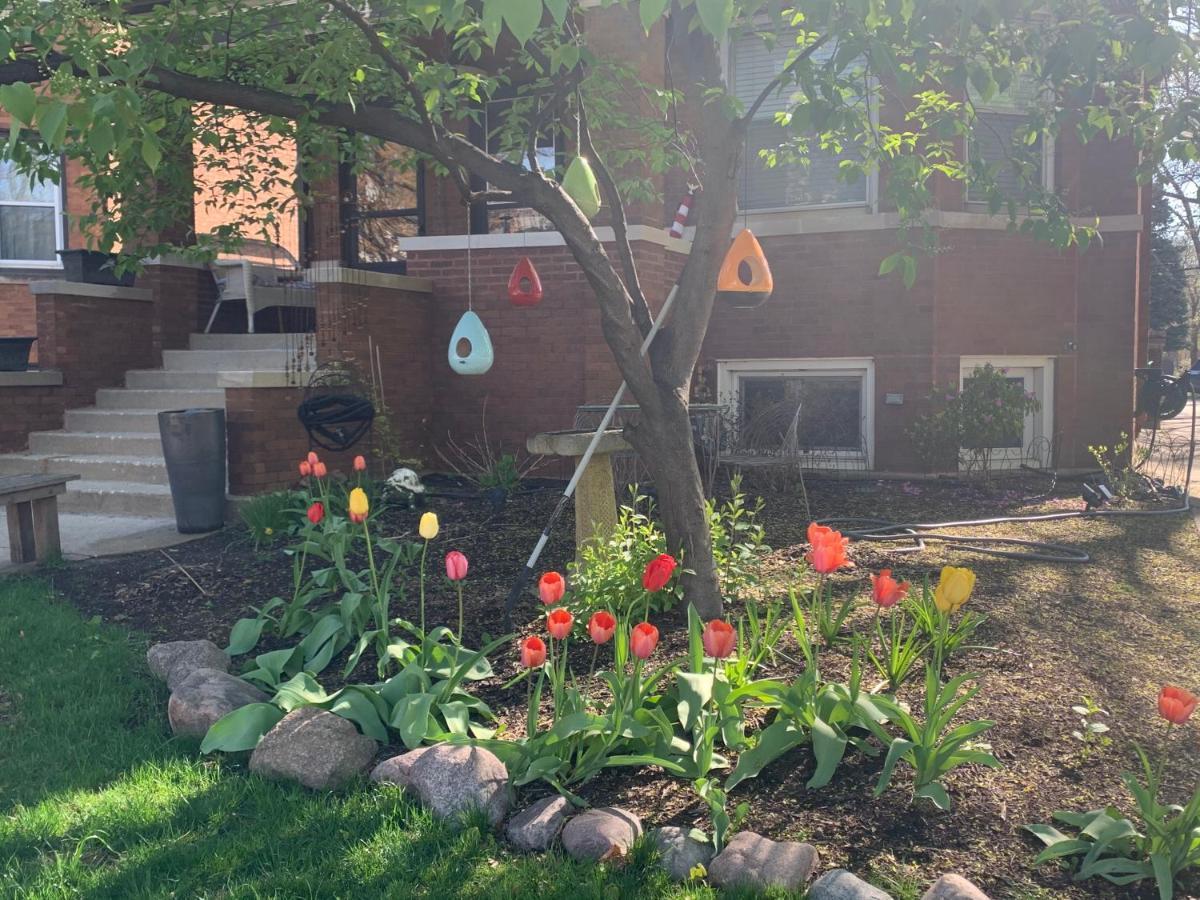 Oak Park Beauties - Tree Lined Streets - Walkable Apartment Exterior foto
